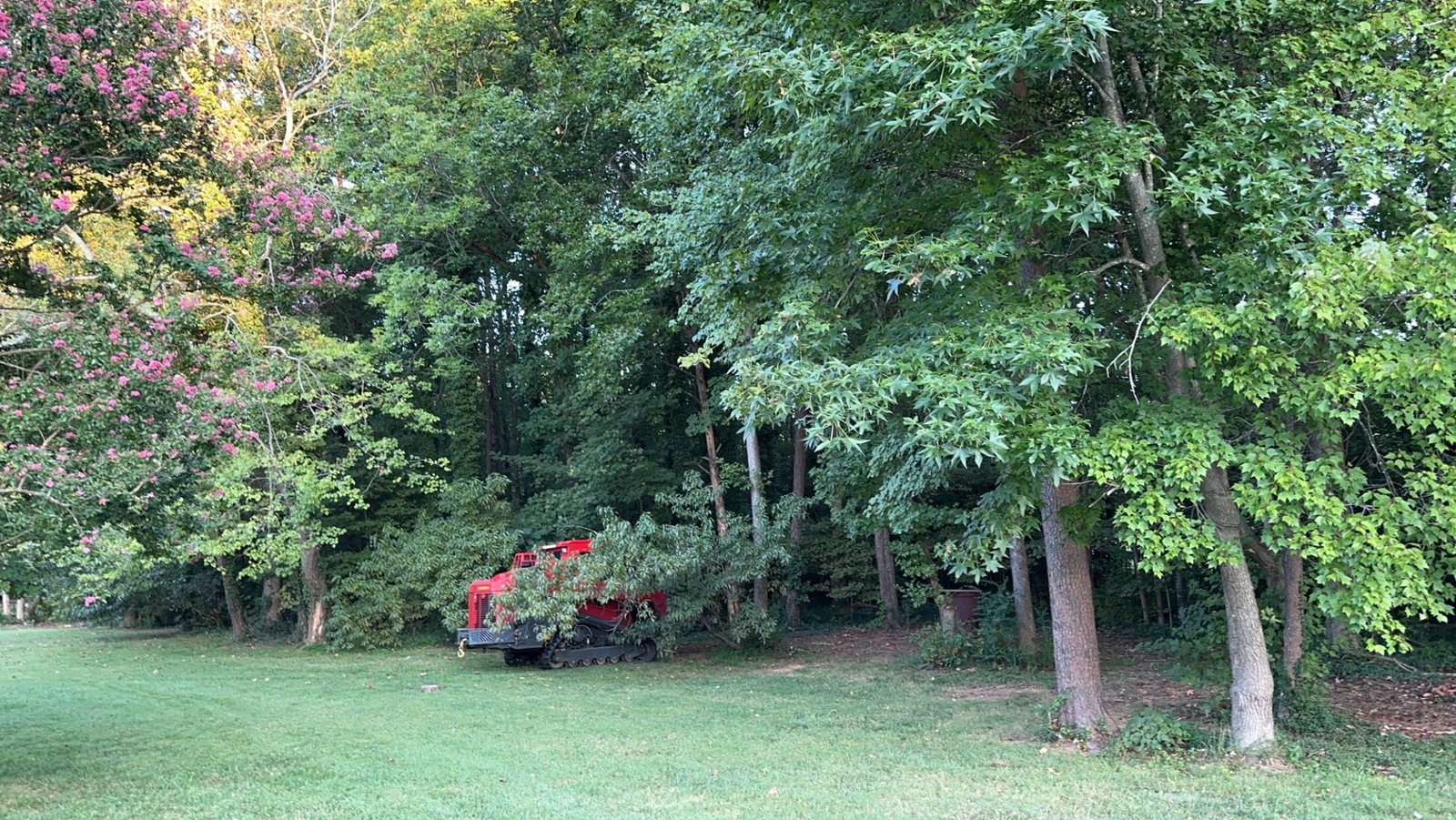 Mulcher working along a tree line at the edge of a lawn