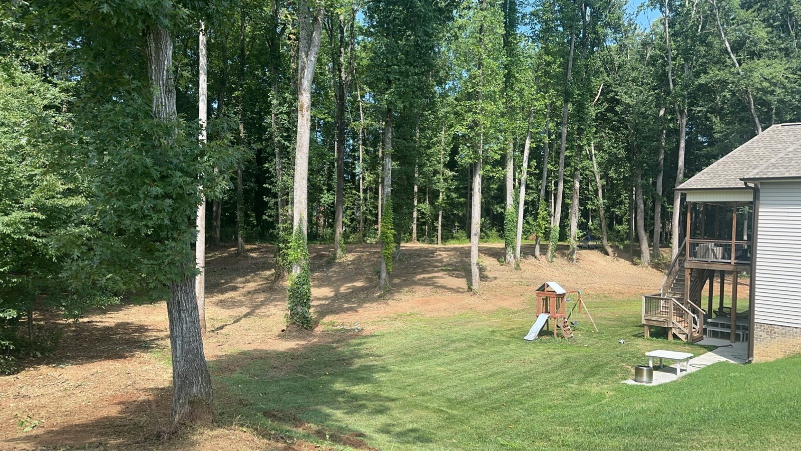 Wooded backyard cleared between mature trees behind a house