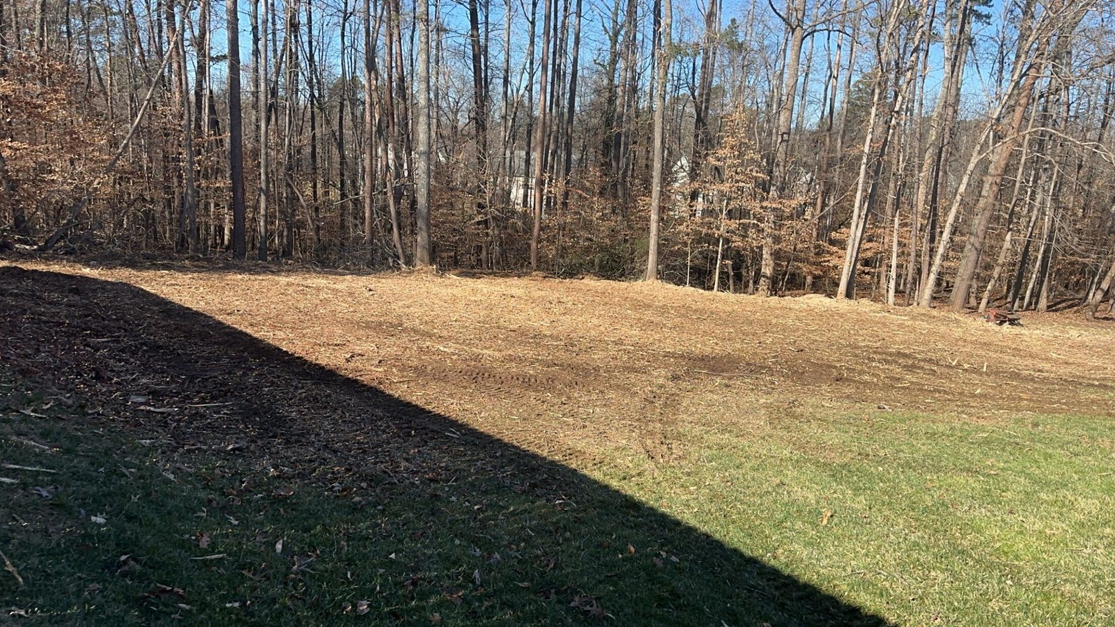 Cleared area covered in mulch in front of a wood line