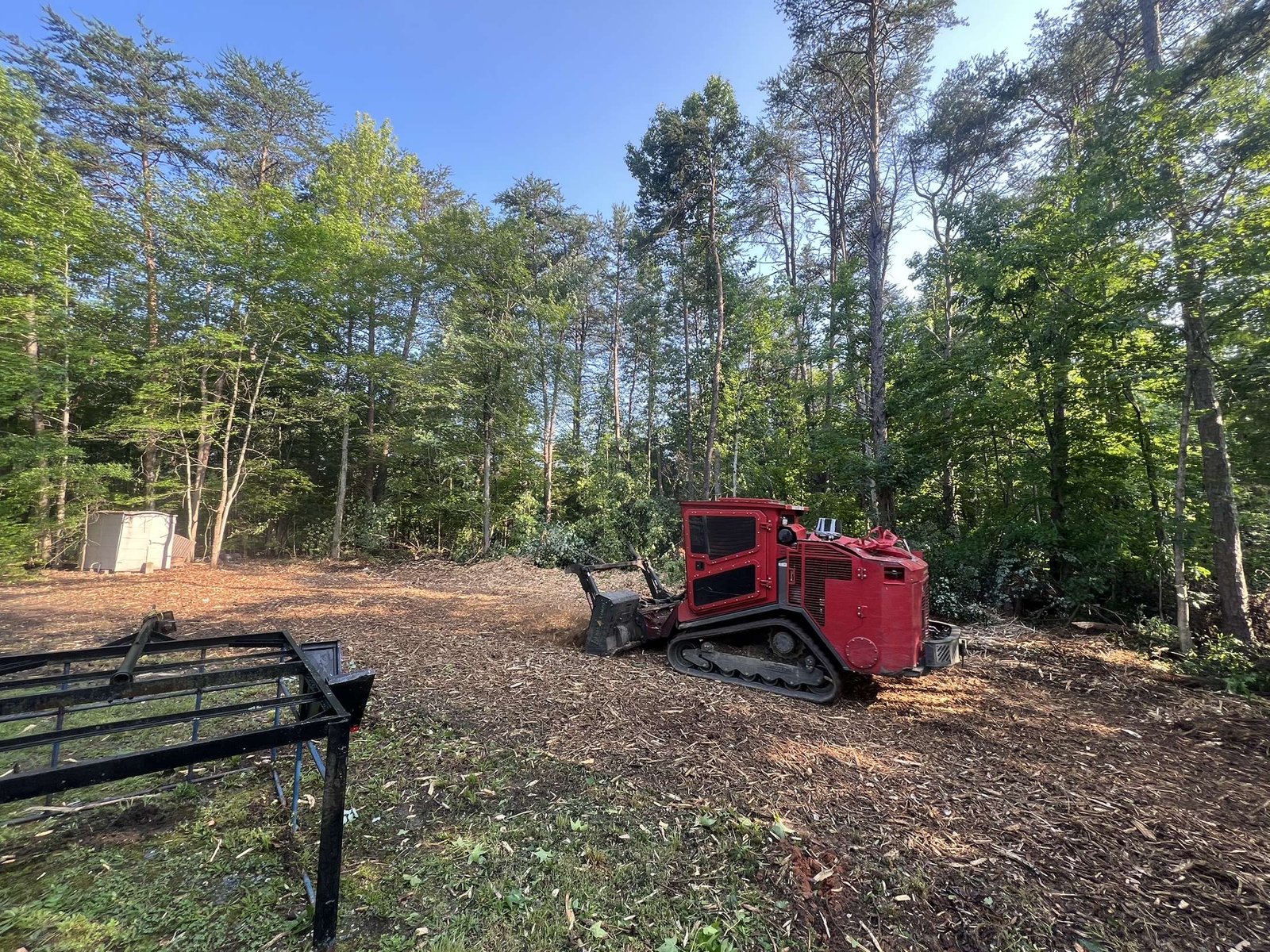 Overgrown wooded lot opened up with fresh mulch on the ground